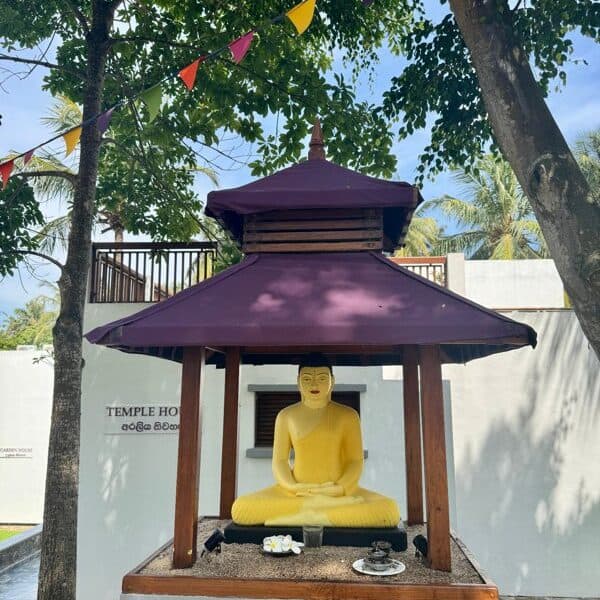 UTMT – Sri Lanka – Ayurveda – Temple Garden UTMT – Sri Lanka – Ayurveda – Temple Garden Foto: © Andrea Fischer, Trips4kids.de