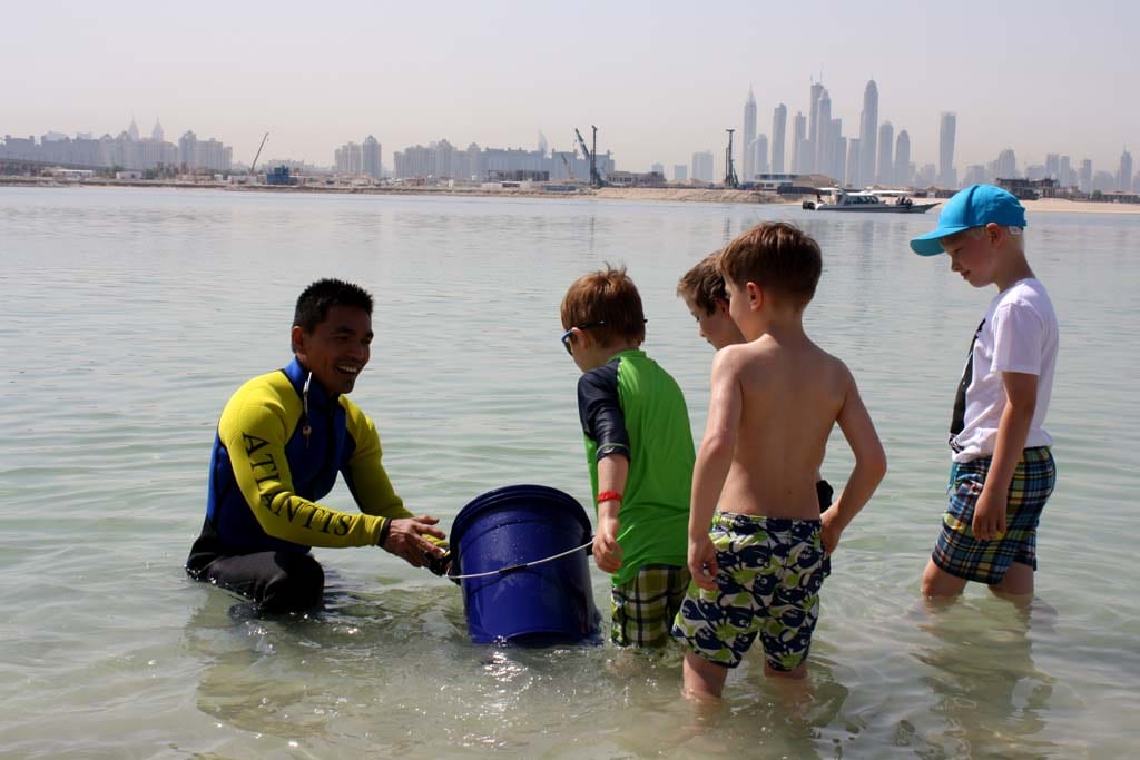 Ein Märchenschloss für Familien mit Kids auf Dubais Palmeninsel! Wir tauchen ein in die bunten Atlantis-Wasserwelten: Der Mega-Wasserpark „Aquaventure“ und das „Lost Chambers Aquarium“ sind einfach gigantisch und für Hotelgäste for free …