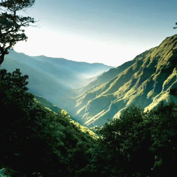 Madeira_Landschaft-800x600