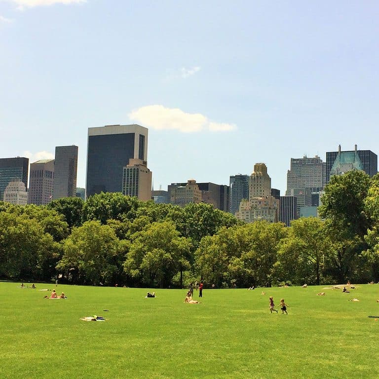Central Park in New York im Sommer