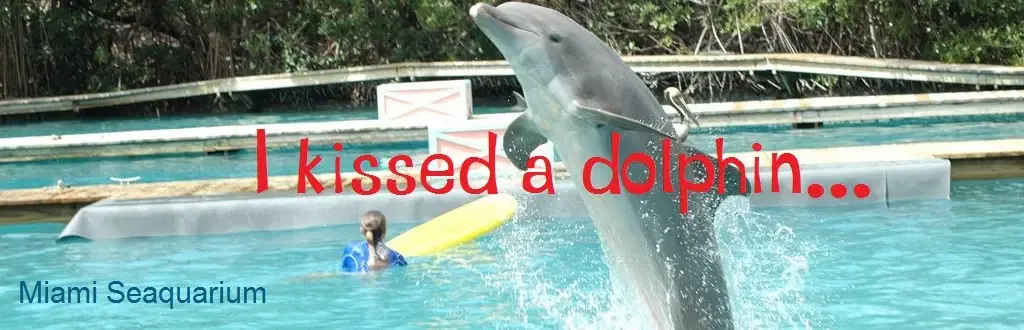 Die US-Serie über den Delfin, der immer zu Späßen aufgelegt und ein zuverlässiger Freund war, hat mich schon als Kind fasziniert. Deshalb wollte ich unbedingt mal mit einem
