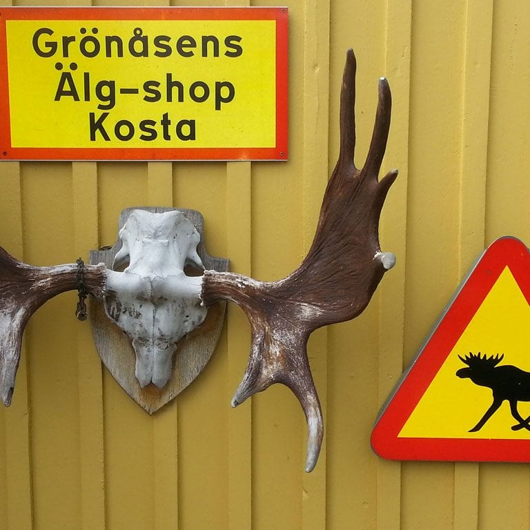 Smaland_Souvenirs_Elchpark.Bild.S.Vodicka.jpg