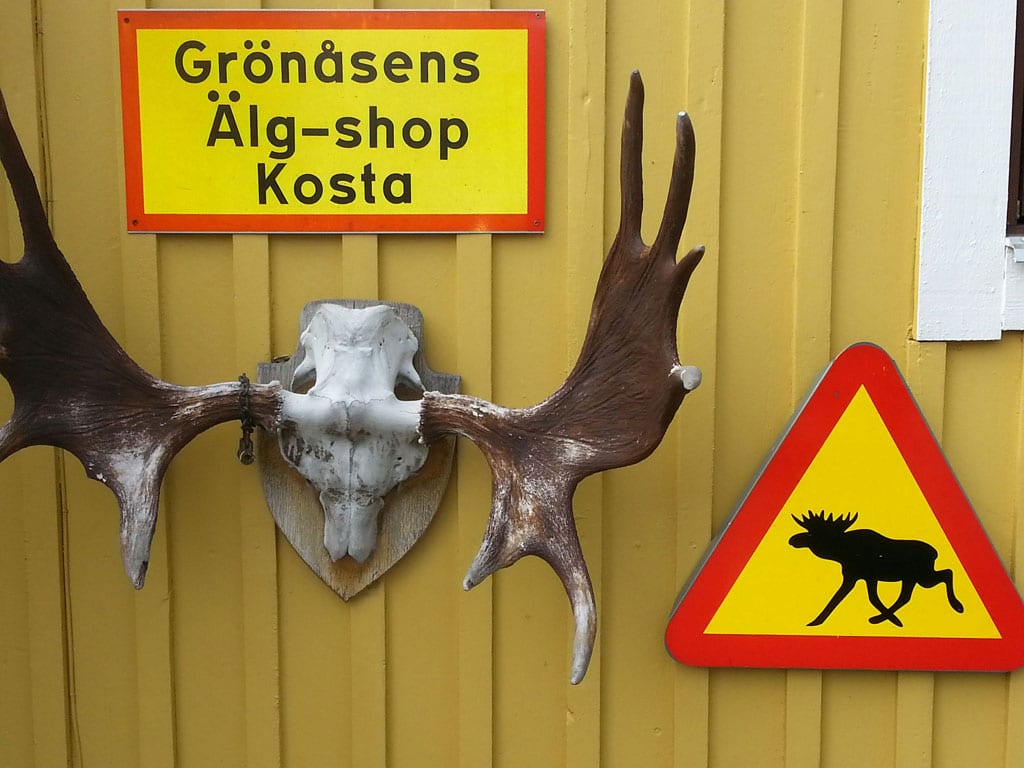 Schweden zum ersten Mal! Schweden - das ist für die 11-jährige Anna vor allem ein Möbelhaus mit einer lustigen Kinderbetreuung, die sie vorzugsweise im Alter von drei bis sechs Jahren gerne besuchte, während Mama und Papa nach Küchen, Sofas, Lampen oder einer Vase Aussschau hielten. Bis ein Ausruf durch den Lautsprecher des Möbelgeschäftes drang: