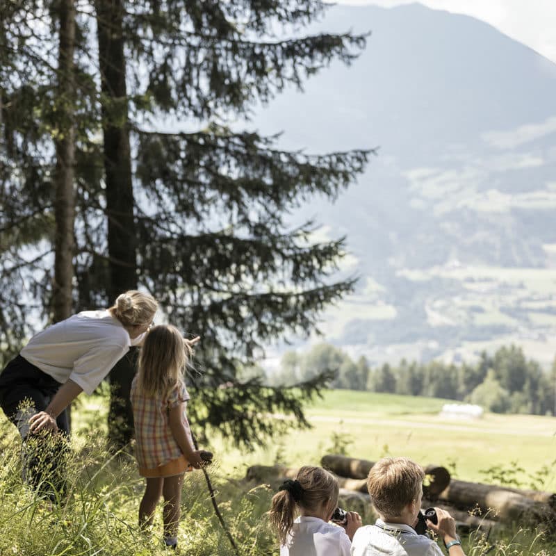 AKI Family Resort Plose - Kinder im Wald Bild: Alex Filz