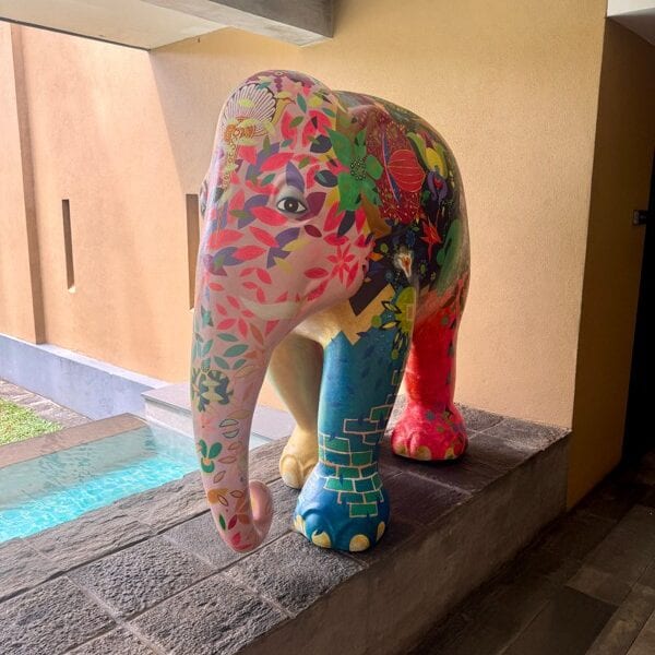 Anantara Kulatara Resort Sri Lanka - Elefant bunt Foto: © Andrea Fischer, Trips4Kids.de