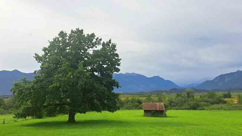 Blaues Land Oberbayern - Murnauer Moos Bild: A.Schmelter