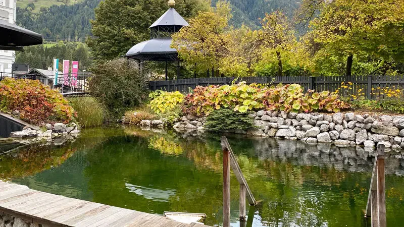 Boutiquehotel ERIKA - Schwimmteich
