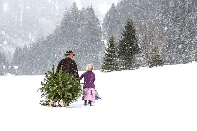 Christbaum holen im Salzburger Land