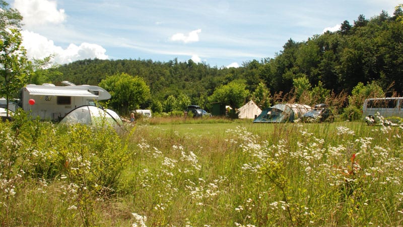 Wiese Camping-Tenuta-Squaneto Foto: © Camping-Tenuta-Squaneto
