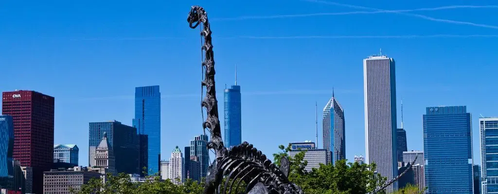 Chicago Skyline