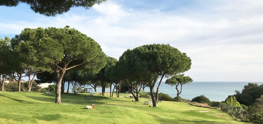 Wiese mit Meerblick im Club Med Da Balaia