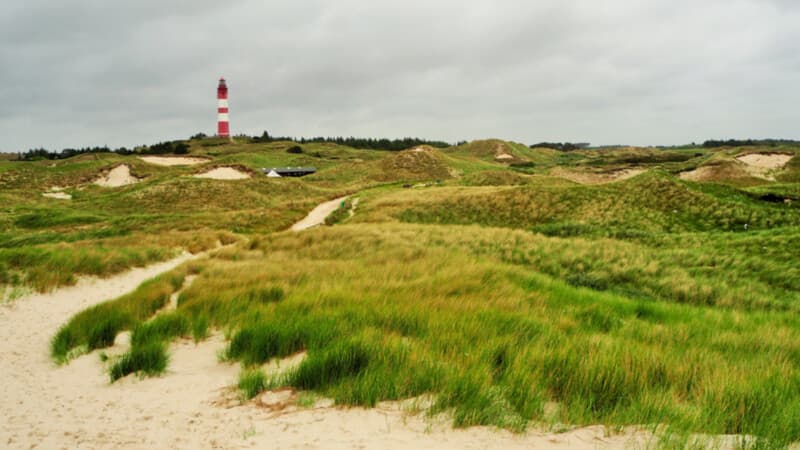 Duenenwanderung-Wanderung Amrum © Foto: Nadine Sorgenfrei