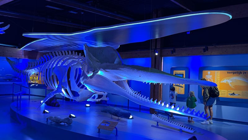 Ecomare2-c-Saskia-Aaro,-Trips4kids.de