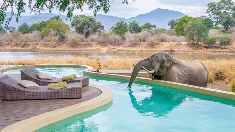 Family Escape - time tide chongwe Resort Bild: TeNeues Verlag PR