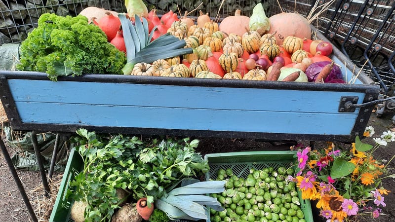 Hoflaeden & Manufakturen in Schleswig-Holstein: Hof Ehlers