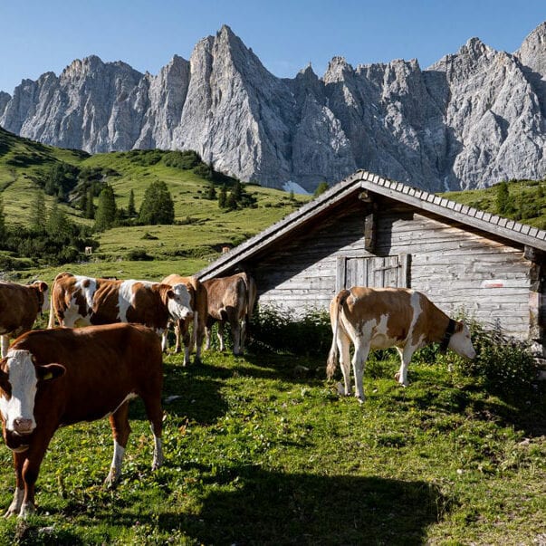 Hotel ENG - Natur pur erleben