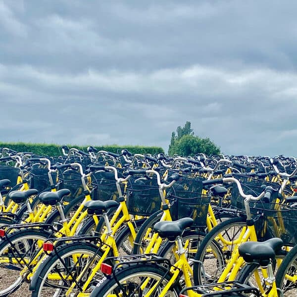 Landskrona - Insel VEN: Fahrrad Verleih Bild: Trips4kids.de