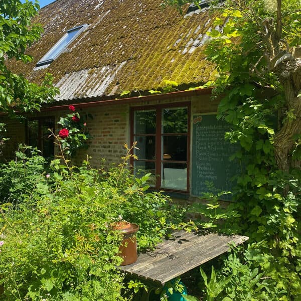 Landskrona - Insel VEN: Pumpans Cafe Garten Bild: Trips4kids.de