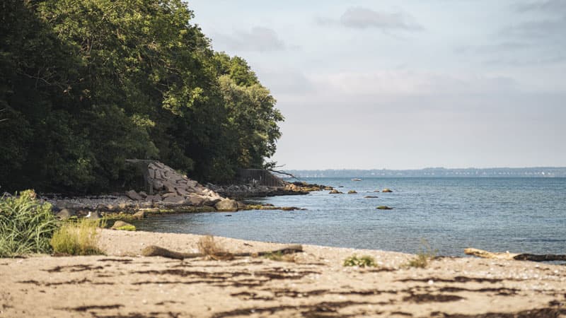 Landskrona - Insel VEN: kueste Bild: Landskrona-Ven Tourismus