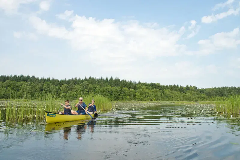 Kanutour Seerosenteich, Seenplatte ©Christin Drühl, Tourismusverband Mecklenburgische Seenplatte