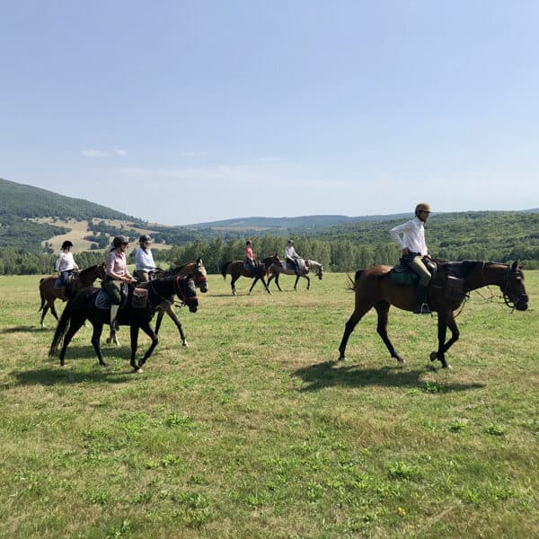 Reiten in Rumaenien - Ausritt mit der Gruppe
