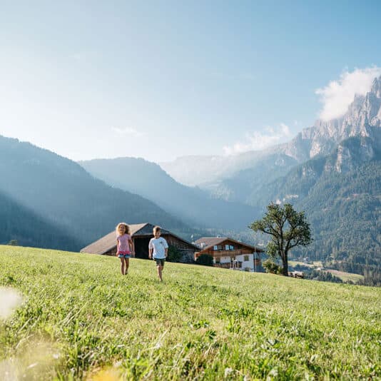 Roter Hahn Bauernhöfe - Südtirol Foto: Benjamin Pfitscher