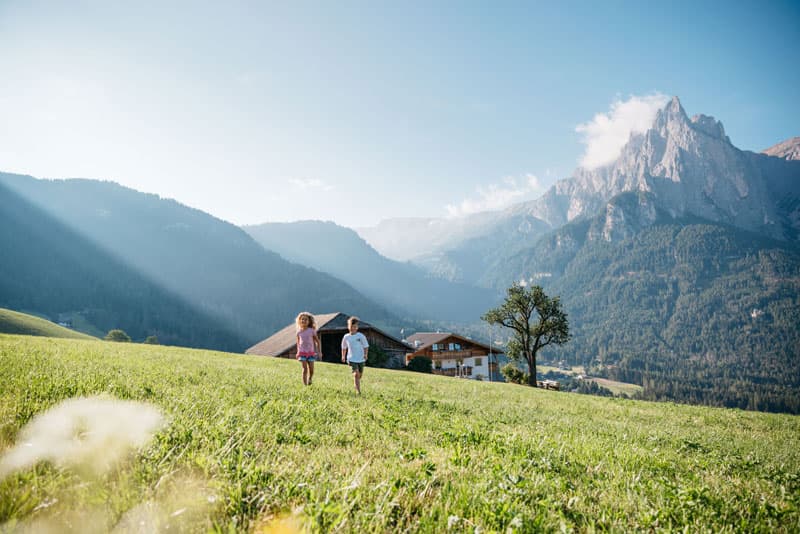Roter Hahn Bauernhöfe - Südtirol Foto: Benjamin Pfitscher