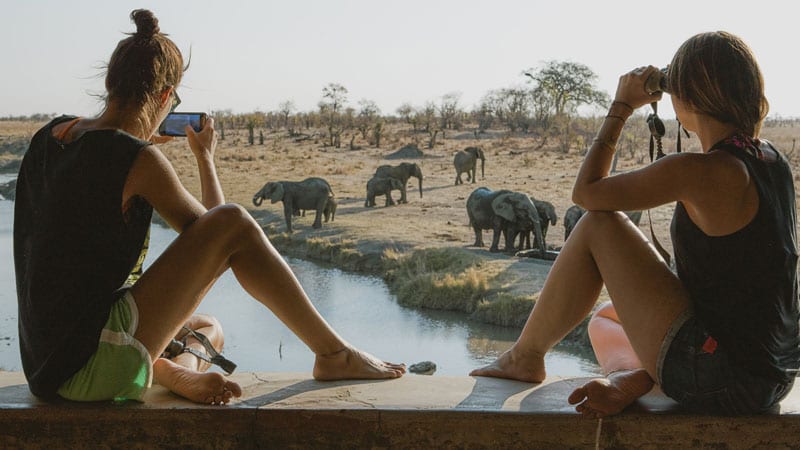 Safari Elefanten am Wasserloch: Getty Images 1193071070.