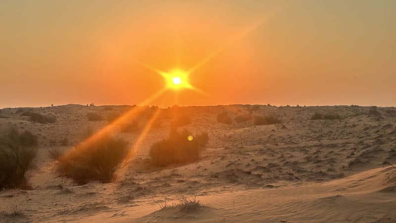 Sand Sherpa Dubai - Sonnenuntergang in der Wueste Bild: M.Kaussen