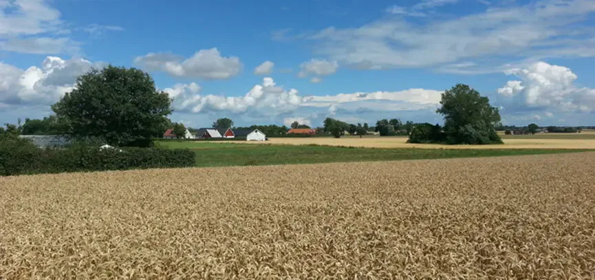 Landschaft beim Tomatenhaus in Schweden
