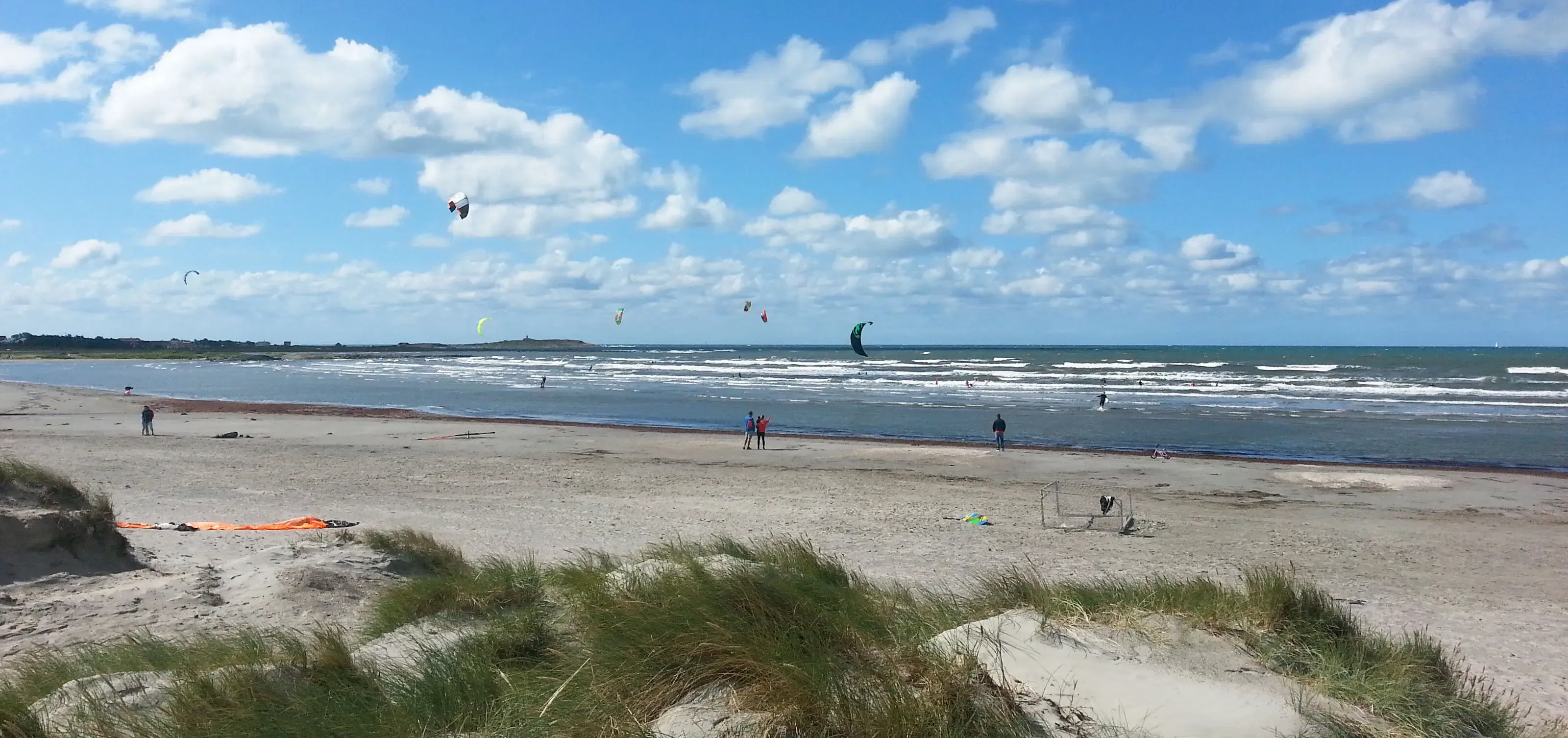 Strand in Apelviken in Schweden