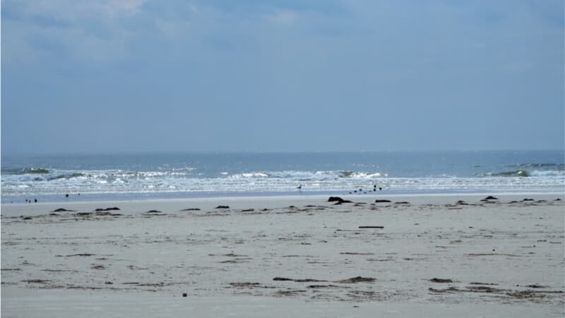 Strand-Nordseeinsel-Amrum © Foto: Nadine Sorgenfrei