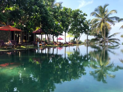 Underneath-The-Mango-Tree-Hollmann-UTMT_0