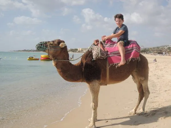 Club Aldiana Tunesien - Kamelreiten