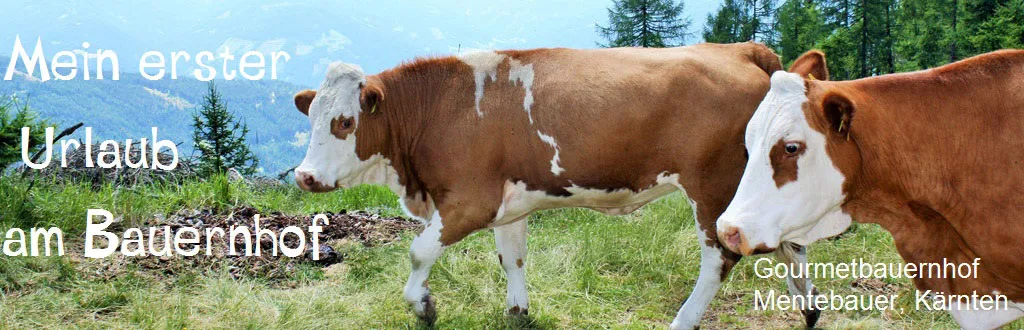 Paul´s erster Urlaub auf dem Bauernhof! Kühe, Hasen, Pferde: Hier gibt es für Kids viel zu erleben und die Erwachsenen sind auch lecker versorgt. Der Mentebauer wird seinem Titel „Gourmethof“ auf jeden Fall gerecht!