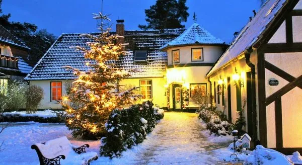 Roohus im Schnee mit Baum