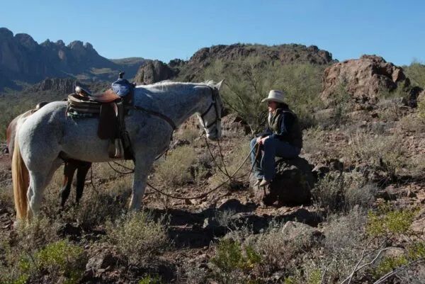 White Stallion Ranch Arizona