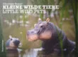 Buch Kleine, wilde Tiere - von Christiane Rauert