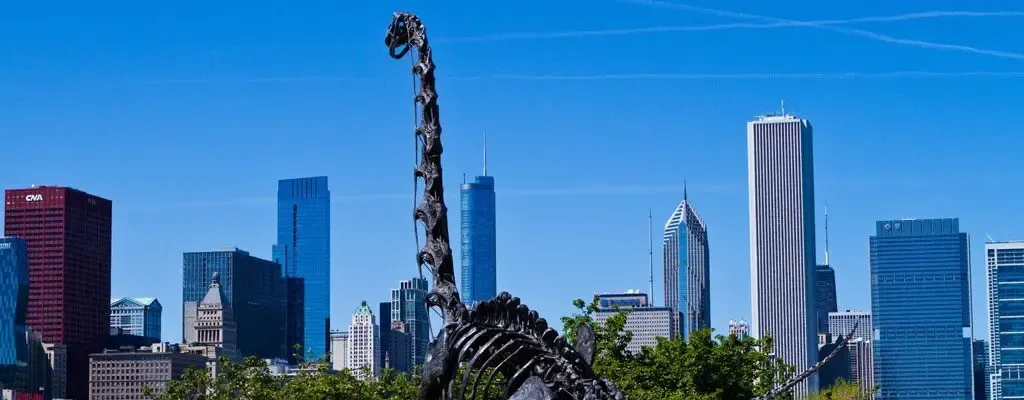 Chicago Skyline