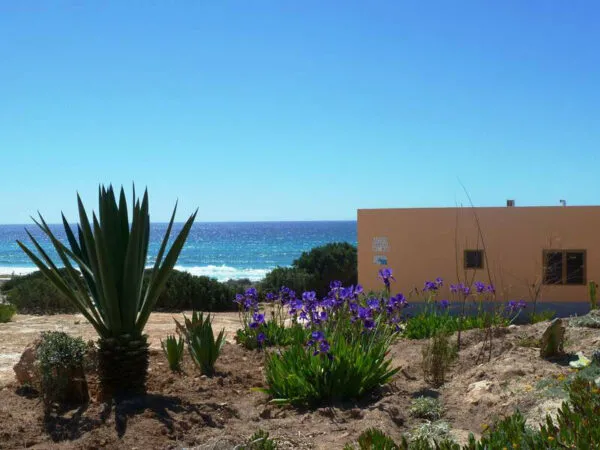 Bungalow Arenas del Mar im Fruehling