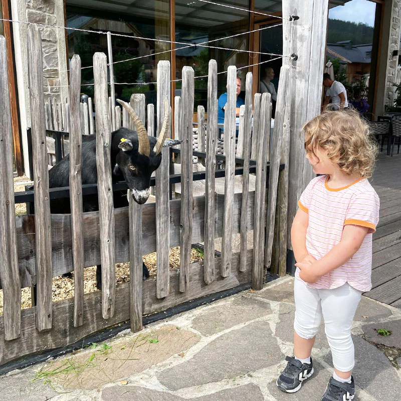 Dachsteinkoenig-Kind-und-Ziege Bild: Sarah Spang