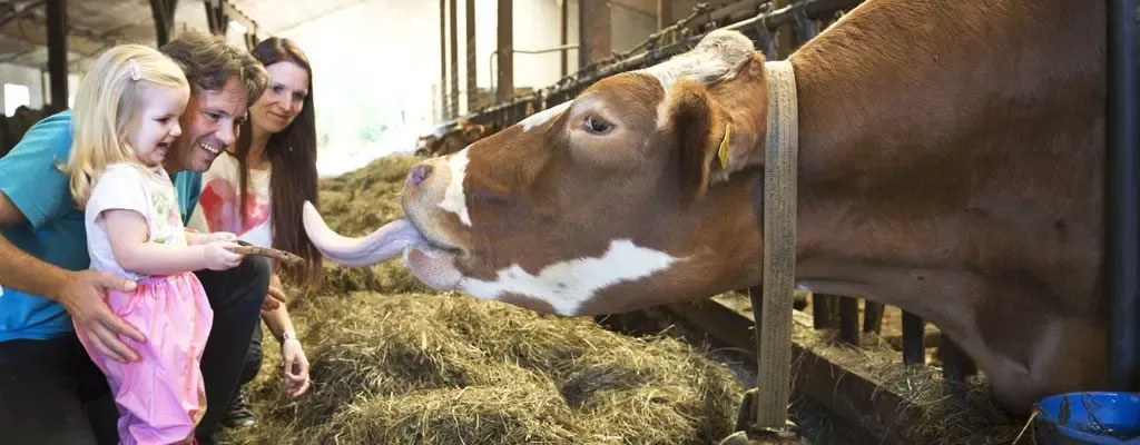 Familienschwimmbad ©Familotel Schreinerhof