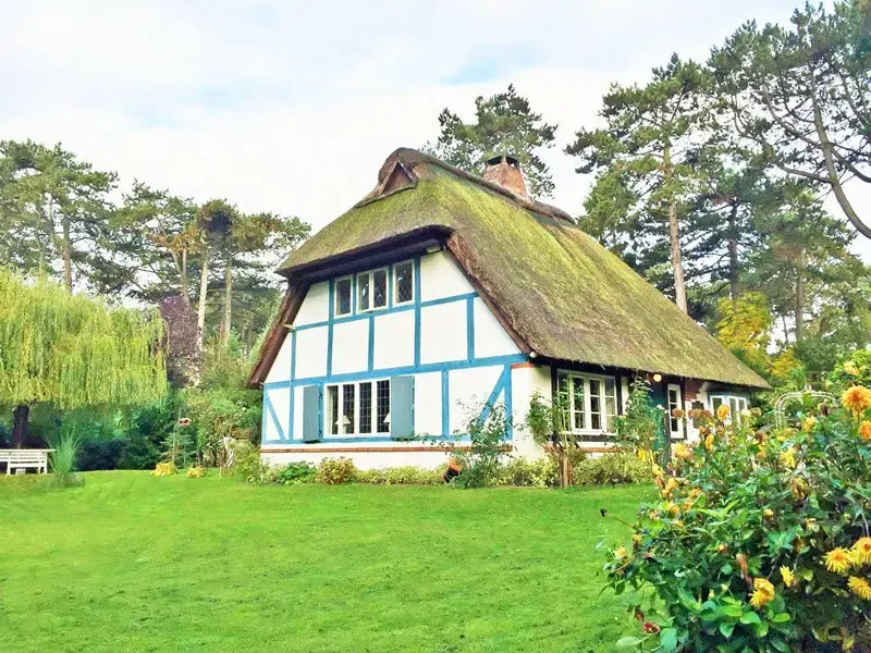 Am berühmtesten Strand Deutschlands kann man wunderbar mit der ganzen Familie Ferien machen. Die kristallklare Ostsee liegt mit sieben Kilometer feinstem Sandstrand vor der Tür, dahinter ein paar Flache Dünen und der tiefgrüne Wald. Wer Glück hat wohnt in dem schnuckligen Reetdachhaus