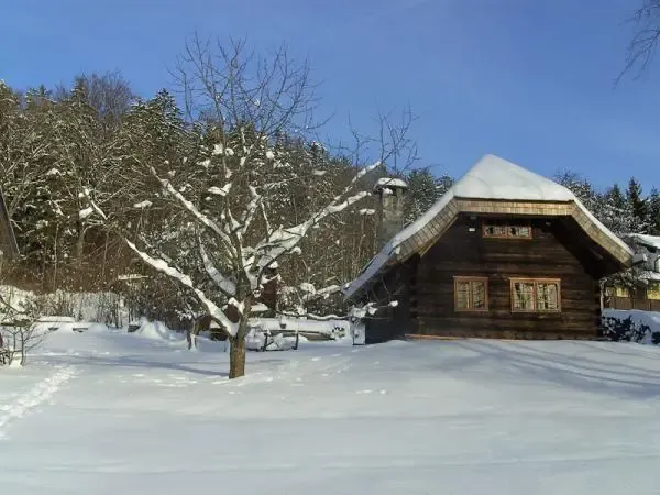 Gfaellhuette im Winter -Ferienhof Sellmayer