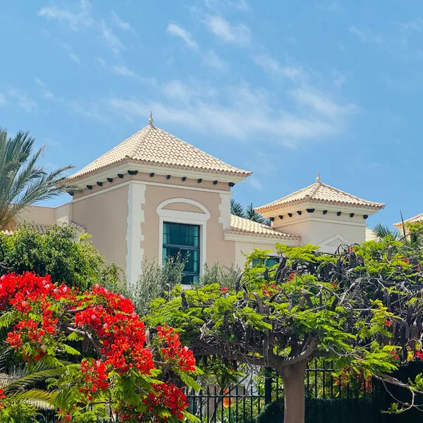 Gran-Melia-Palacio-de-Isora-Anlage-Vegetation Foto: © Andrea Fischer Trips4kids.de