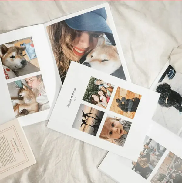 Handyscreen Lalalab App