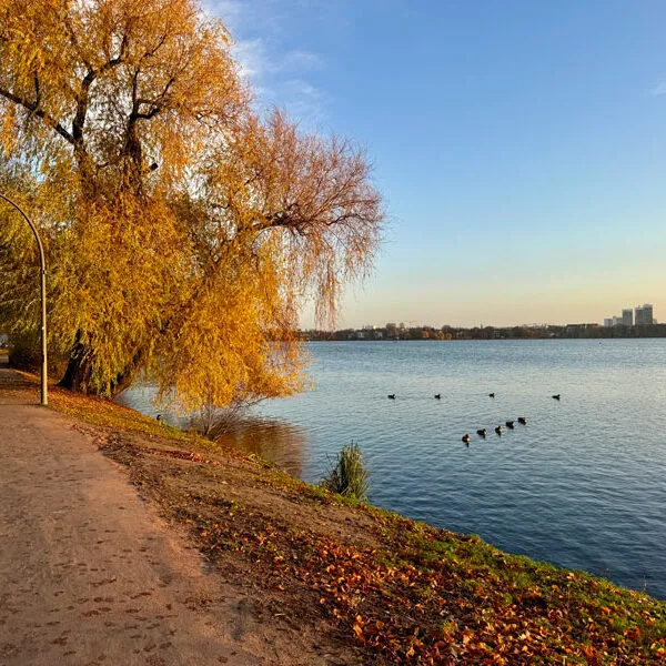 Herbst-Alster Foto: © Andrea Fischer Trips4Kids.de