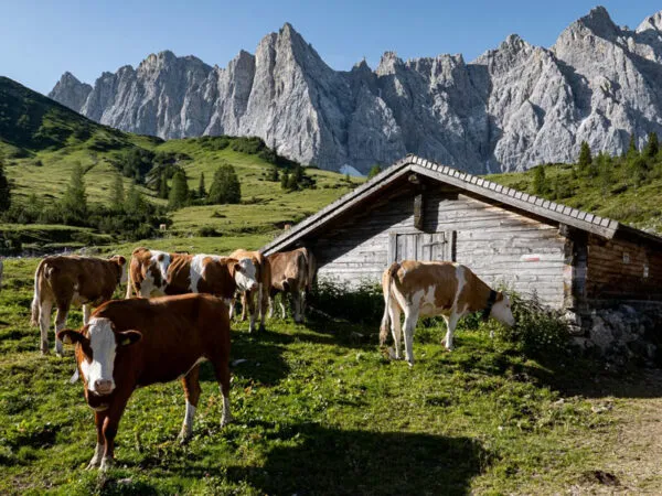 Hotel ENG - Natur pur erleben