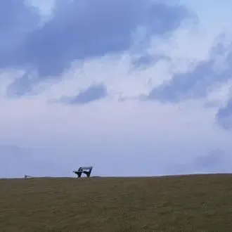 Insel-Pellworm-Bank Insel-Pellworm-Landschaft- Bank auf Deich @ Foto: Nadine Sorgenfrei