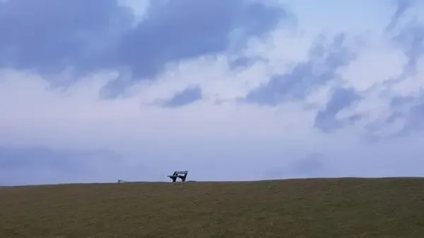 Insel-Pellworm-Landschaft- Bank auf Deich @ Foto: Nadine Sorgenfrei